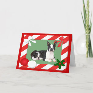 Boston Terrier Christmas Card Frame Feiertagskarte