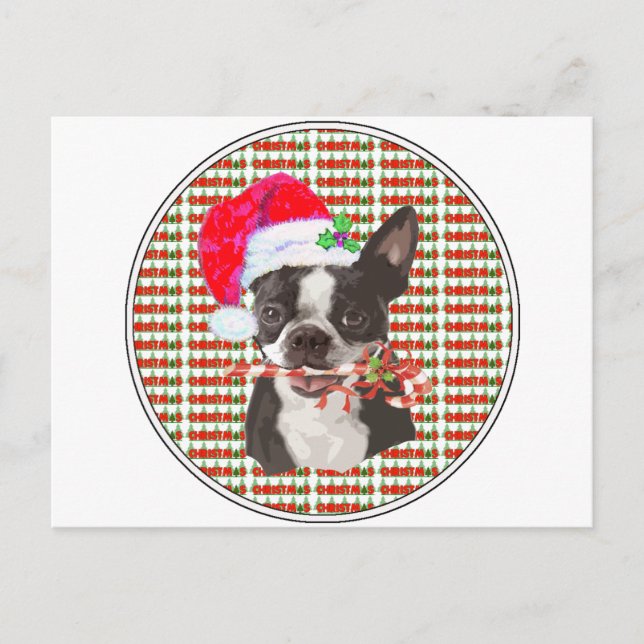 Boston Terrier Christmas Feiertagspostkarte (Vorderseite)