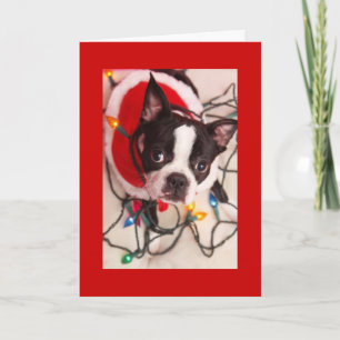Boston Terrier Christmas Lights Santa Greeting Car Feiertagskarte