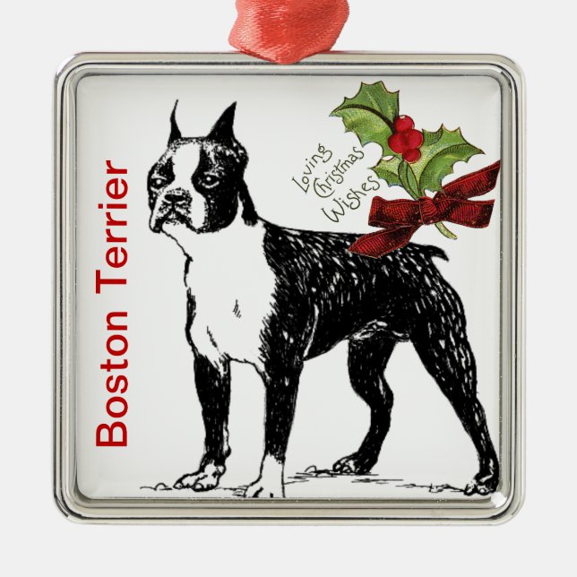 Boston Terrier Christmas Ornament (Vorne)