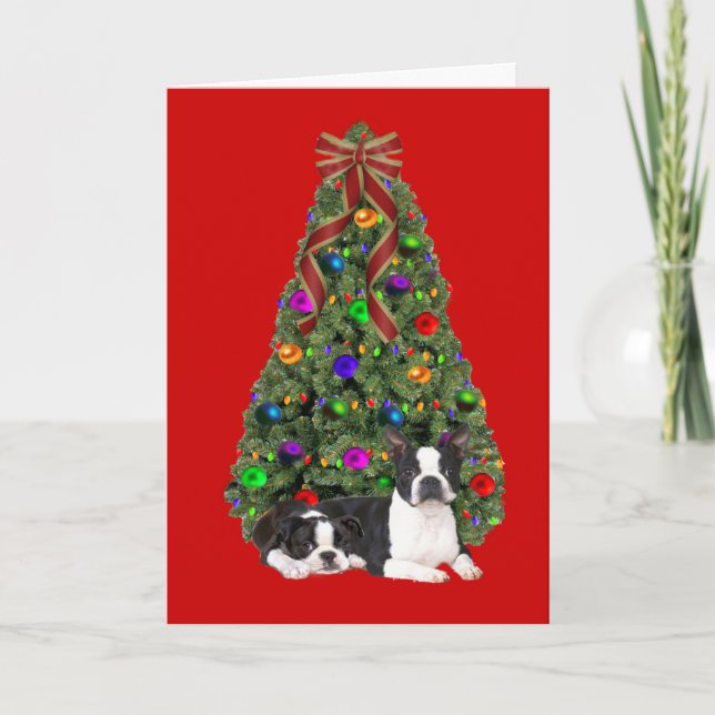 Boston Terrier Christmas Tree Card Feiertagskarte (Vorderseite)