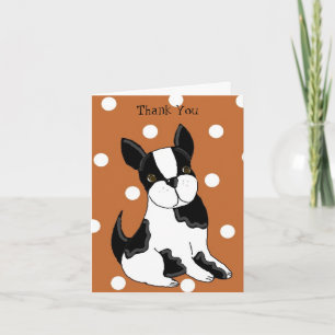 Boston Terrier Danke
