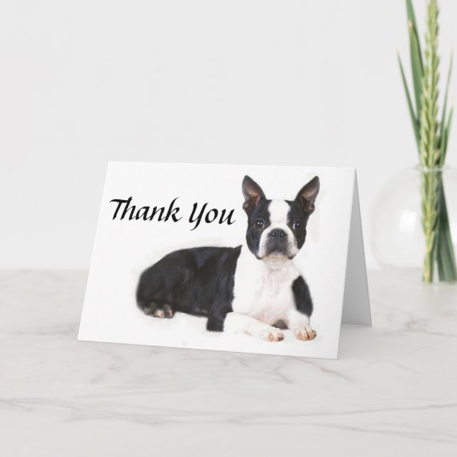 Boston Terrier danken Ihnen zu kardieren Dankeskarte (Vorderseite)