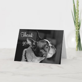 Boston Terrier Dankeskarte