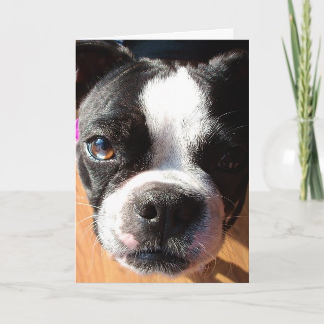 Boston Terrier, das AN SIE Grußkarte DENKT Karte (Vorderseite)