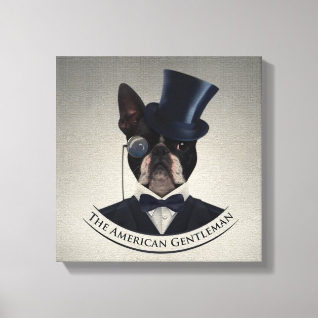 Boston Terrier - Der amerikanische Gentleman Leinwanddruck (Vorderseite)
