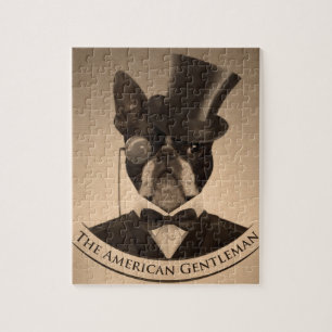Boston Terrier - der amerikanische Herr Puzzle