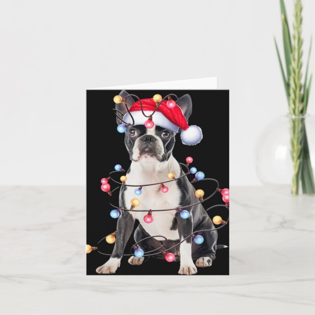 Boston Terrier Dog Christmas Lights Xmas Dog T Shi Karte (Vorderseite)