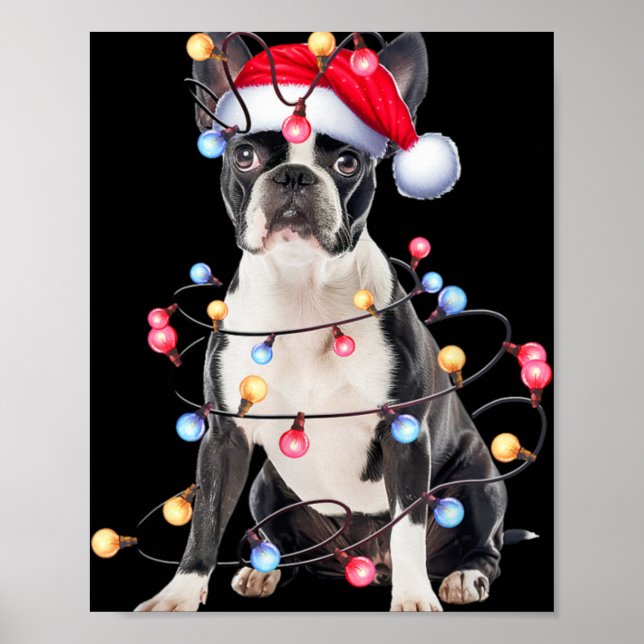 Boston Terrier Dog Christmas Lights Xmas Dog T Shi Poster (Vorne)