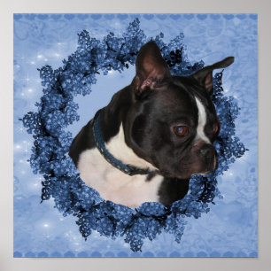 Boston Terrier Dog im Blumenkranz Poster