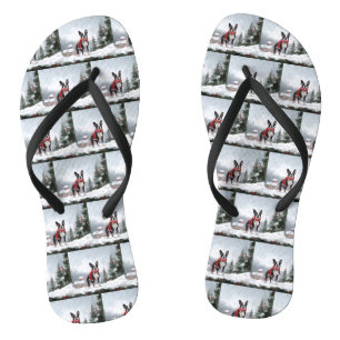 Boston Terrier Dog in Schneeweihen Flip Flops