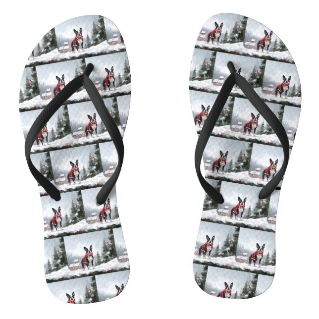 Boston Terrier Dog in Schneeweihen Flip Flops (Fußbett)