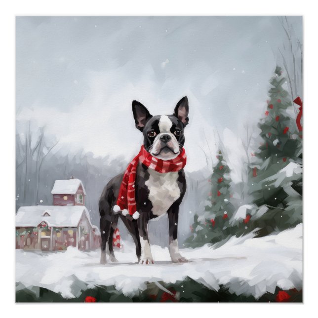 Boston Terrier Dog in Schneeweihen Poster (Vorderseite)