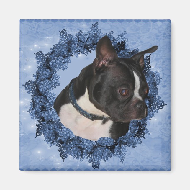 Boston Terrier Dog Magnet (Vorne)