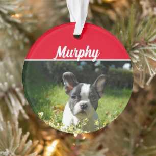 Boston Terrier Dog mit Name und Foto Weihnachten Ornament