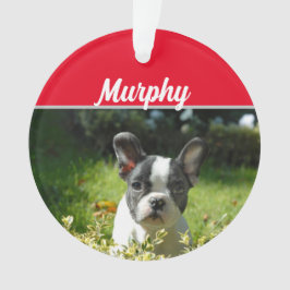 Boston Terrier Dog mit Name und Foto Weihnachten Ornament