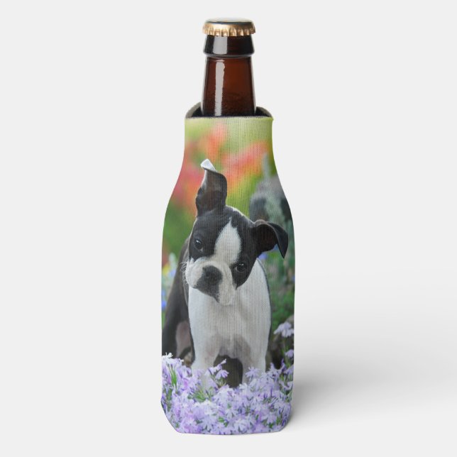 Boston Terrier Dog Niedlich Puppy Foto, Bottle Jac Flaschenkühler (Flaschenvorderseite)