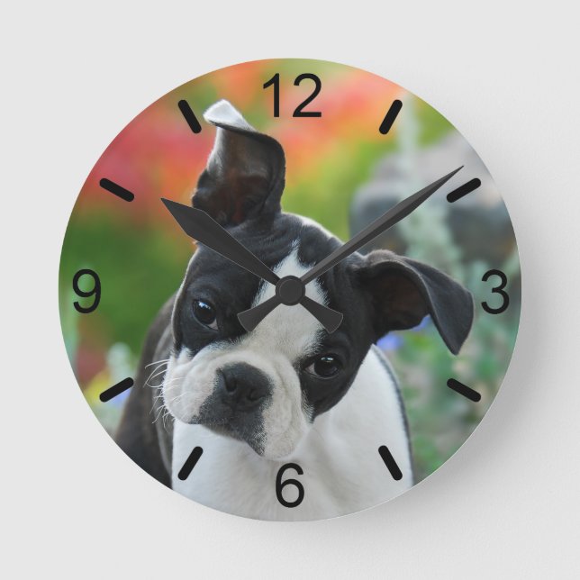 Boston Terrier Dog Niedlich Puppy Portrait Wählsch Runde Wanduhr (Vorderseite)