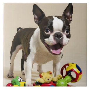 Boston Terrier Dog Playing with Toys Fliese