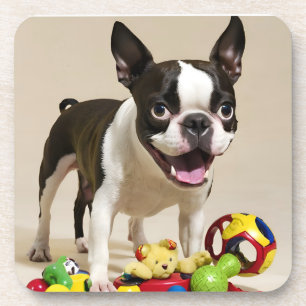 Boston Terrier Dog Playing with Toys Getränkeuntersetzer