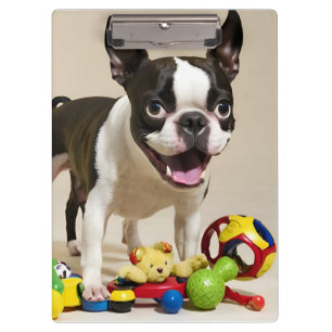 Boston Terrier Dog Playing with Toys Klemmbrett