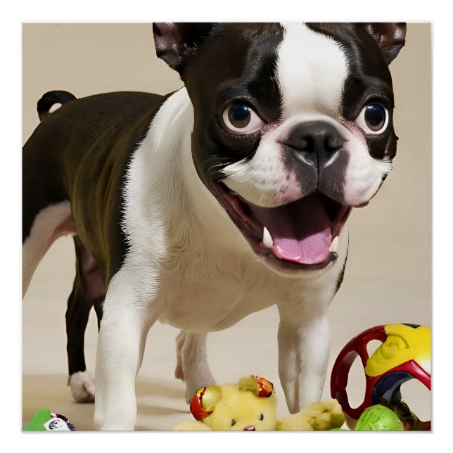 Boston Terrier Dog Playing with Toys Poster (Vorderseite)