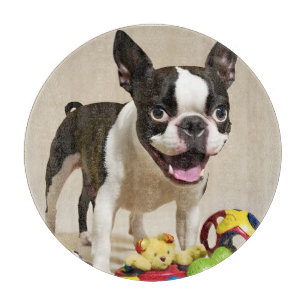 Boston Terrier Dog Playing with Toys Schneidebrett
