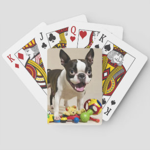 Boston Terrier Dog Playing with Toys Spielkarten