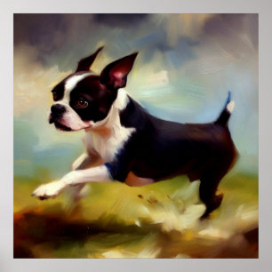 Boston Terrier Dog Poster