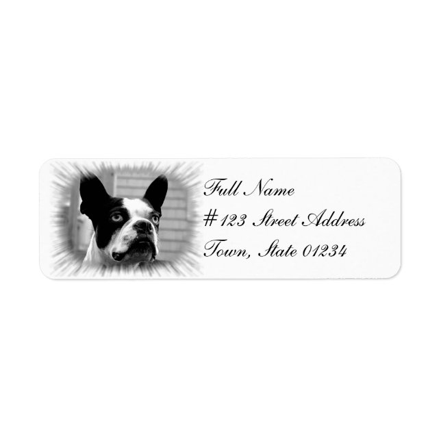 Boston Terrier Dog Return Address Label (Vorne)