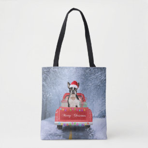 Boston Terrier Dog Snow sitzt im Truck