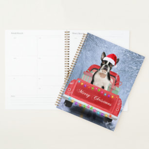 Boston Terrier Dog Snow sitzt im Truck Planer