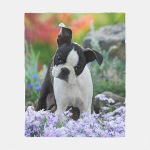Boston Terrier Dog Welpe gemütlich Fleecedecke