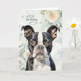 Boston Terrier Dog with White Roses Birthday Karte