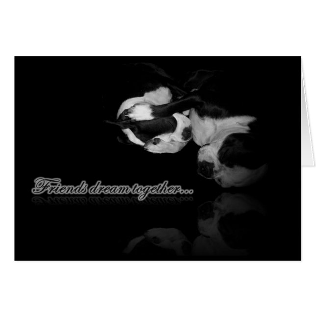 Boston Terrier Dreams Card (Vorderseite (Horizontal))