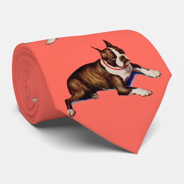 Boston-Terrier-Druck Krawatte (Gerollt)