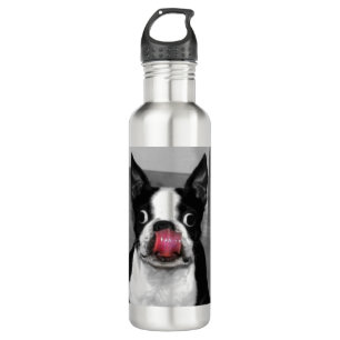 Boston Terrier Edelstahlflasche