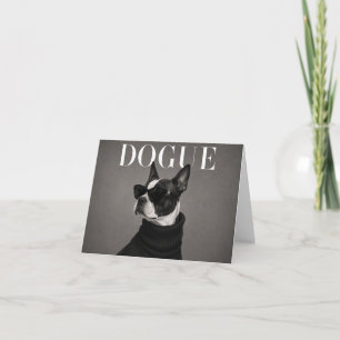 Boston Terrier Editorial Hund Portrait Danke Ca