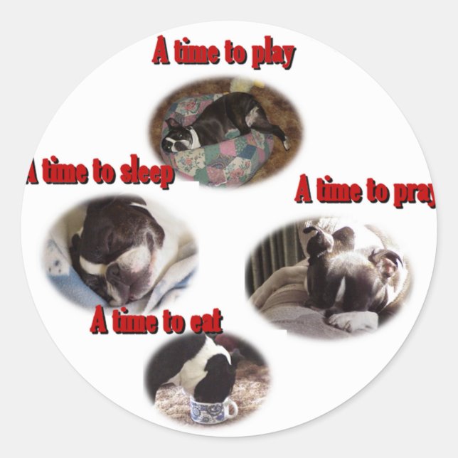 Boston Terrier: Eine Zeit Runder Aufkleber (Vorderseite)