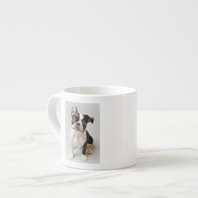 Boston Terrier Espressotasse (Vorderseite Links)