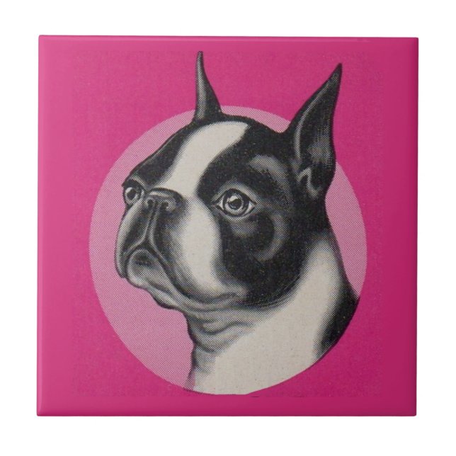 Boston Terrier Fliese (Vorderseite)