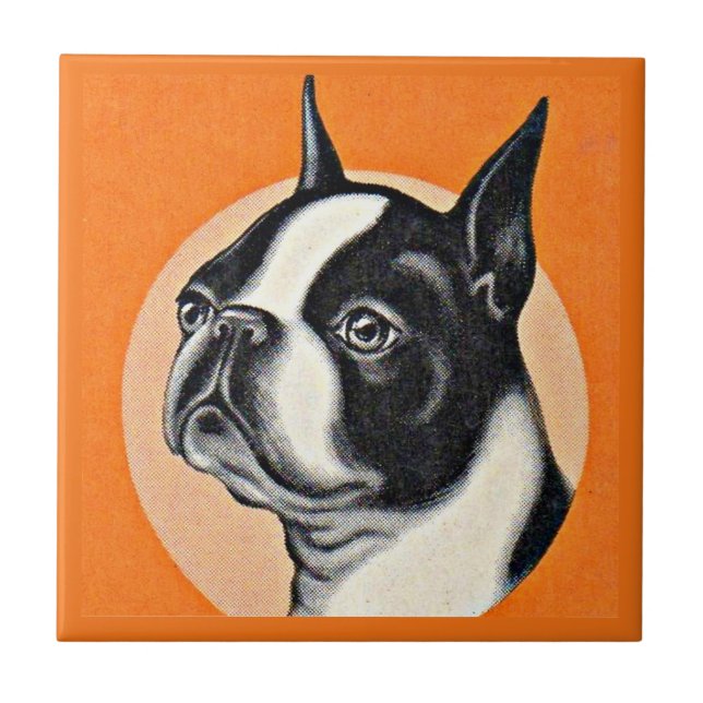 Boston Terrier Fliese (Vorderseite)