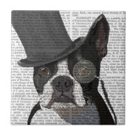 Boston Terrier, Formal Hound und Hat