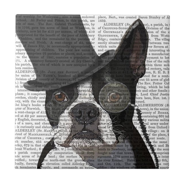 Boston Terrier, Formal Hound und Hat Fliese (Vorderseite)