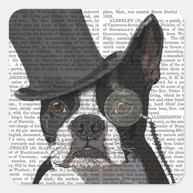Boston Terrier, Formal Hound und Hat Quadratischer Aufkleber (Vorderseite)