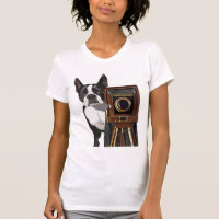 Boston Terrier Fotograf 2