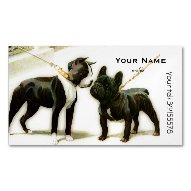 BOSTON TERRIER & FRANZÖSISCHER BULLDOG MAGNETISCHE VISITENKARTE (Vorderseite)