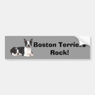 Boston-Terrier-Freund-Autoaufkleber Autoaufkleber