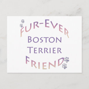 Boston Terrier Furever Postkarte