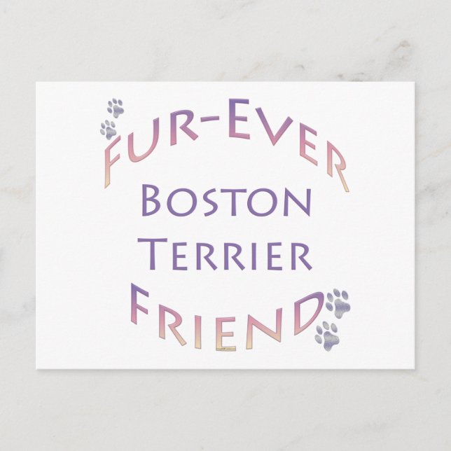 Boston Terrier Furever Postkarte (Vorderseite)